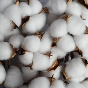 BTK Group continues to invest in the development of the textile cluster in Tajikistan